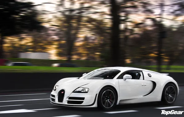 Картинка white, Bugatti Veyron, top gear, Super Sport, телепередача, топ гир, 16.4