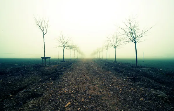 Дорога, поле, пейзаж