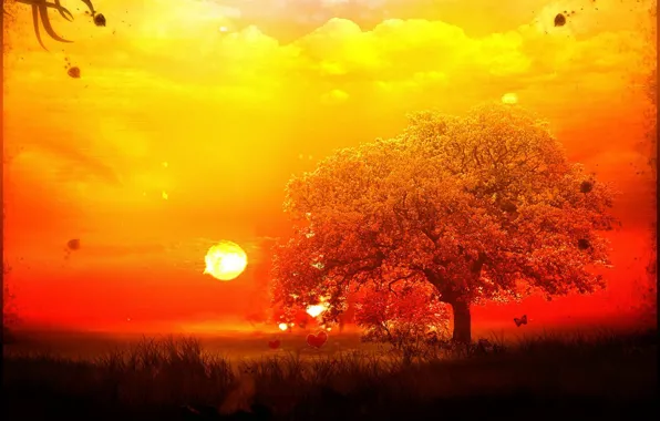 Картинка солнце, обработка, Дерево