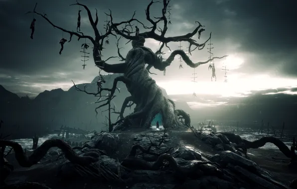 Экшн, слэшер, action-adventure, Hellblade: Senua's Sacrifice