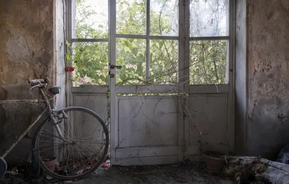 Картинка велосипед, комната, дверь