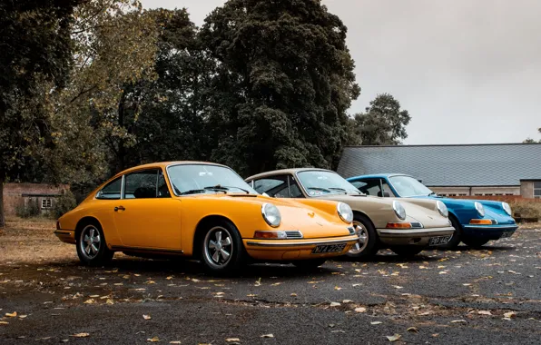 Осень, листья, деревья, 1969, porsche, carrera, porsche 911