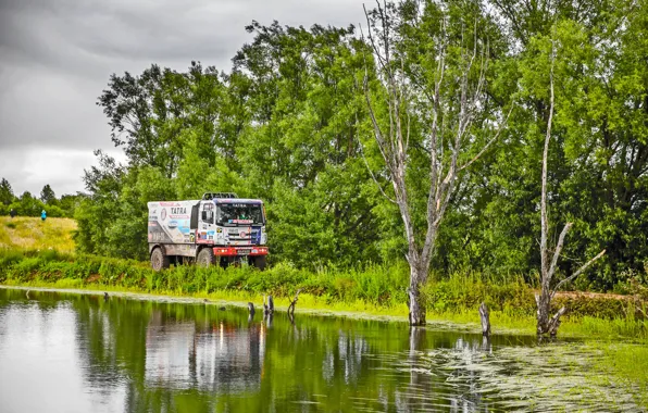 Вода, Природа, Озеро, Деревья, Спорт, Скорость, Тучи, Гонка