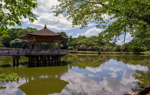 Деревья, пруд, отражение, Japan, беседка, павильон, Ukimido Pavilion, Парк Нара
