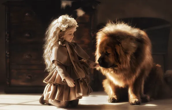 Картинка собака, девочка, друзья, пёс, тибетский мастиф, Валерия Мытник, большой друг