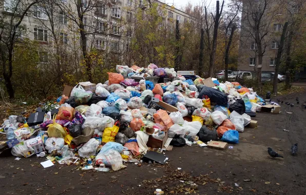Чистота, порядок, пакеты, бытие, я тут живу, типичность