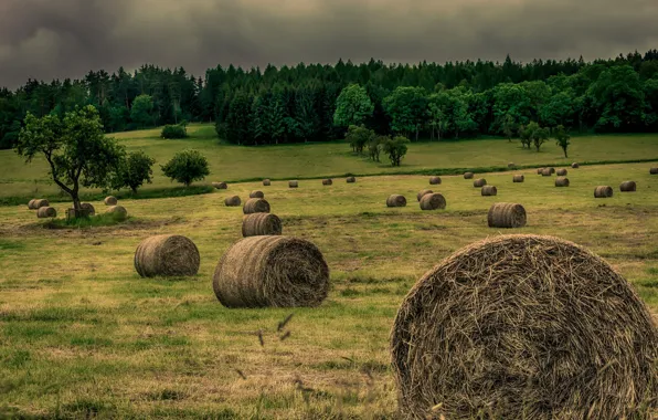 Картинка поле, вечер, сено