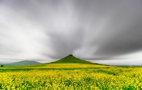 Гора, весна, луг, Армения