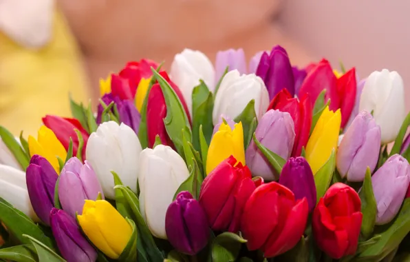 Цветы, букет, colorful, тюльпаны, flowers, tulips, spring, multicolored