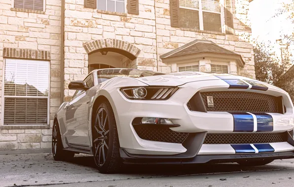 Картинка Mustang, Ford, Shelby, White, American, GT350