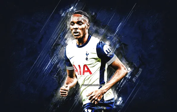 Football, Sport, Soccer, Tottenham, Spurs, French, Tottenham Hotspur, Mathys Tel