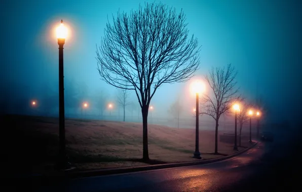 Картинка city, park, street, fog, atmosphere, Richmond, Sleep Walking