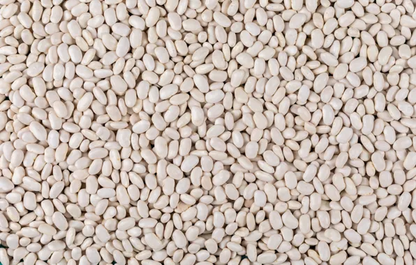 Texture, food, white beans
