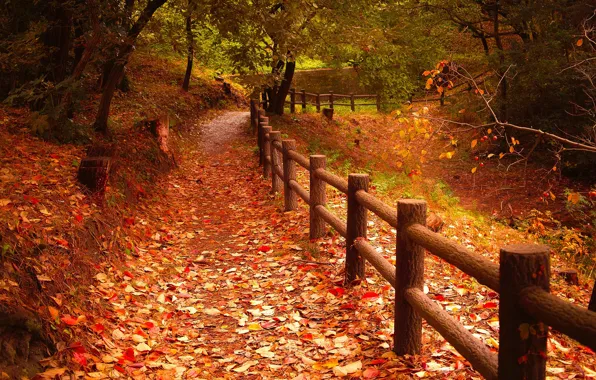 Картинка осень, листья, деревья, парк, забор, тропинка