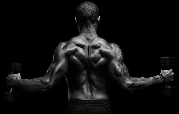 Татуировка, Спина, muscle, мышцы, Back, черно белая, гантели, workout