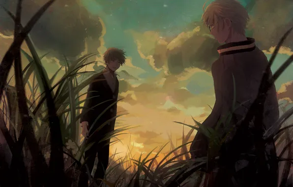 Картинка небо, трава, облака, закат, цветы, аниме, арт, парни