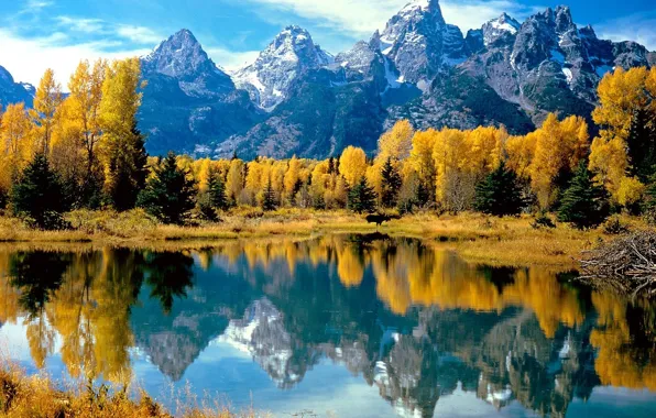 Картинка осень, лес, вода, деревья, горы, озеро, отражение, желтое