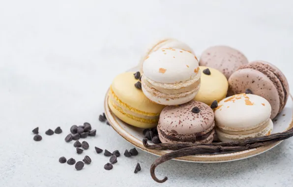 Печенье, пирожное, ваниль, macaron, Iryna Melnyk