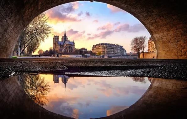 Собор Парижской Богоматери, Notre Dame de Paris, какой какой матери?