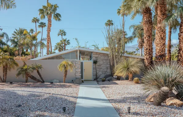 Пальмы, дверь, дорожка, строение, PALM SPRINGS DESERT HOUSES
