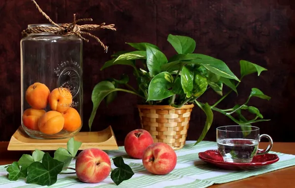 Цветок, банка, фрукты, персики, абрикосы