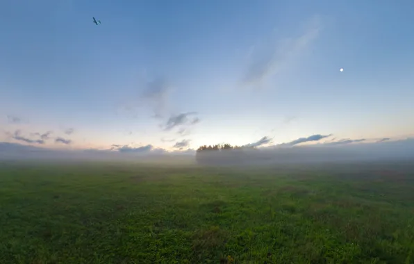Картинка поле, туман, самолет, утро, Луна