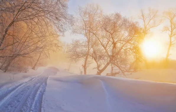 Картинка зима, свет, природа, туман, утро