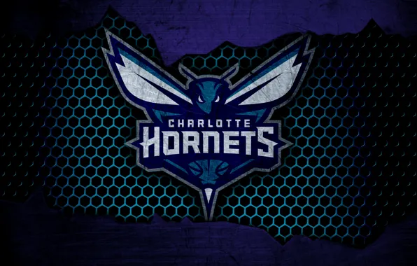 Wallpaper, sport, logo, basketball, NBA, Charlotte Hornets