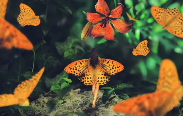 Картинка девушка, бабочки, лилия, крылья, Wonderland journey, Maria Mazuch