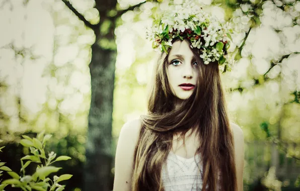 Картинка лес, девушка, цветы, шатенка, венок, длинноволосая