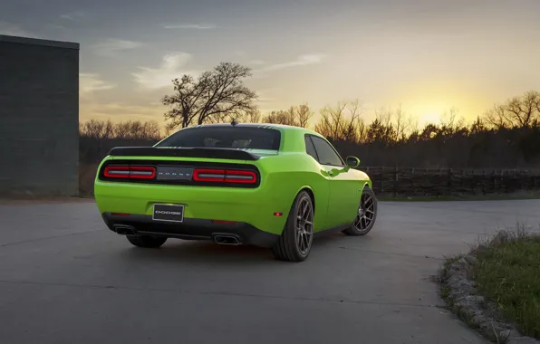 Закат, Ракурс, Dodge, Challenger, Muscle Car, R/T 2015