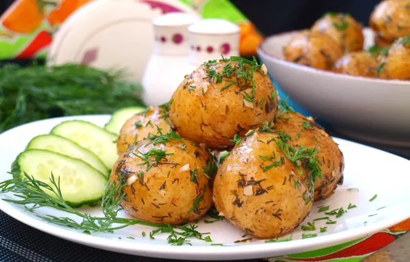 Укроп, огурцы, картофель