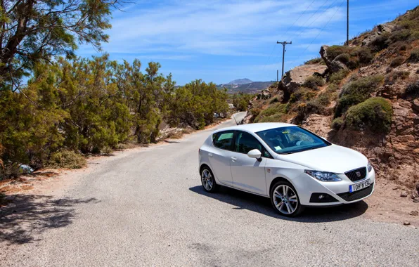 Дорога, деревья, скалы, купе, гора, seat, leon, seat leon
