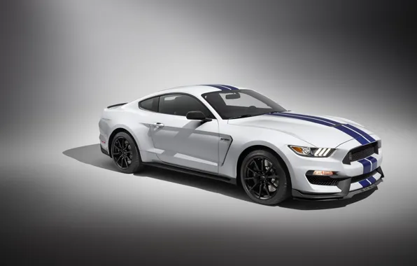 Картинка Mustang, Shelby, Car, GT350, Sportcar