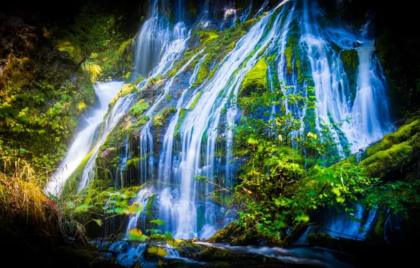 Зелень, вода, ветки, темный фон, берег, растительность, водопад, поток