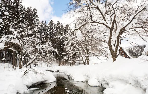 Картинка зима, снег, деревья, пейзаж, река, зимний, river, landscape