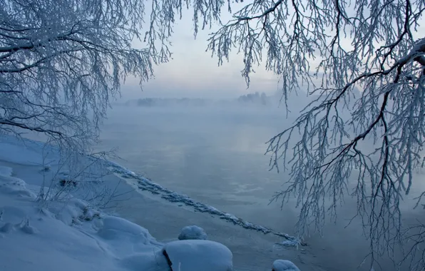 Лед, снег, деревья, река, Зима, дымка