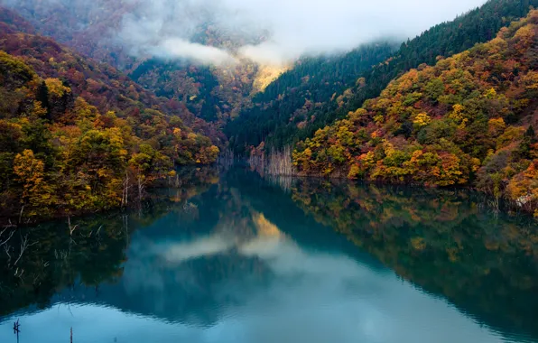 Forest, autumn, clouds, lake, mirror