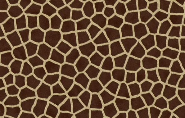 Nature, pattern, animal, giraffe, skin, Giraffe Skin Pattern