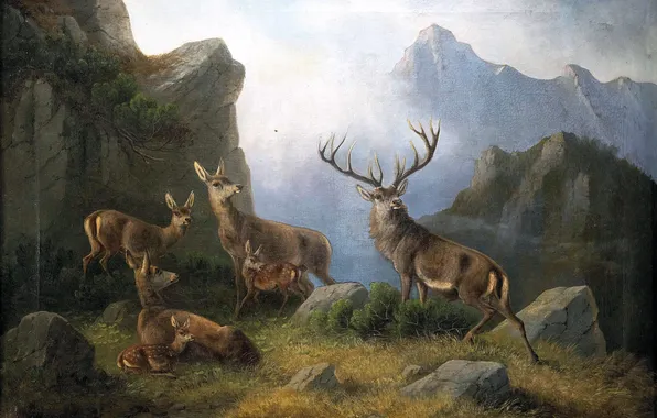 Горы, Картина, Олени, Немецкий художник-анималист, Мориц Мюллер, Moritz Muller, Олени в горах