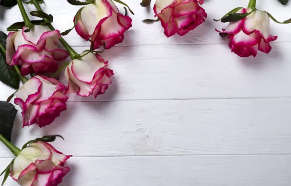 Картинка цветы, розы, розовые, бутоны, wood, pink, flowers, beautiful