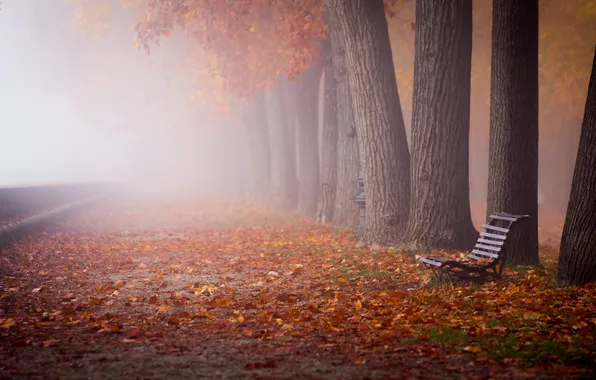Картинка осень, листья, город, туман, улица, скамья