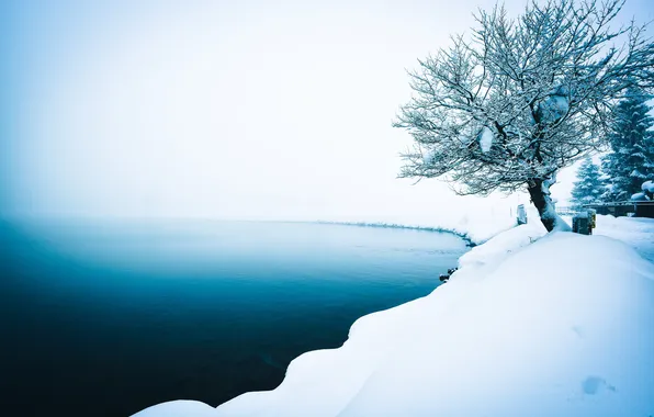Картинка зима, природа, туман, озеро