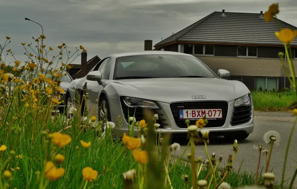 Картинка дорога, небо, трава, облака, цветы, дом, суперкар, Audi R8