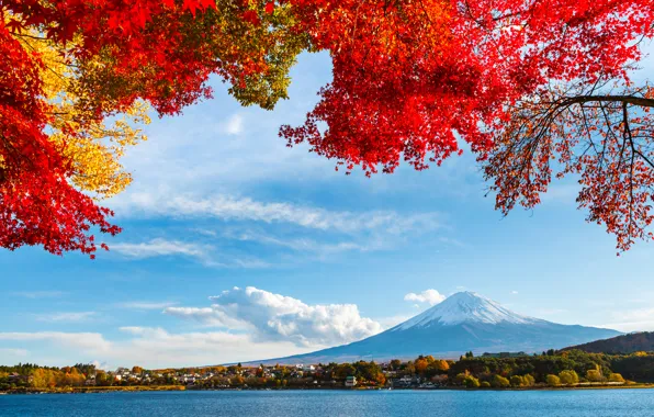 Картинка осень, небо, листья, облака, снег, деревья, озеро, япония