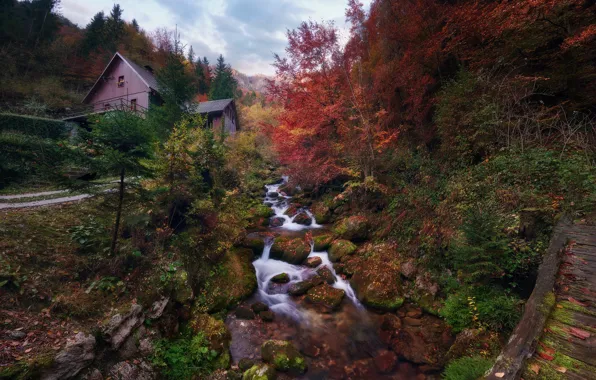 Осень, ручей, камни, водопад, склон, водяная мельница, кусты