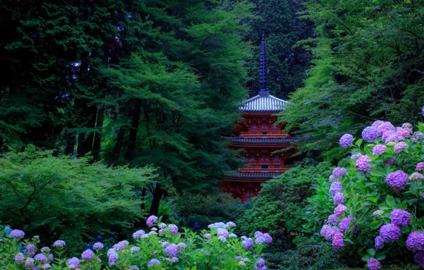 Картинка зелень, деревья, цветы, парк, Япония, пагода, Kyoto, кусты