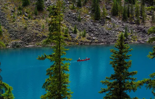 Картинка деревья, озеро, камни, берег, лодка, Канада, Альберта, Banff National Park