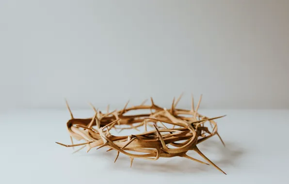 Love, Christian, God, Crown, Holy, Jesus, Eastern, Crown of Thornes
