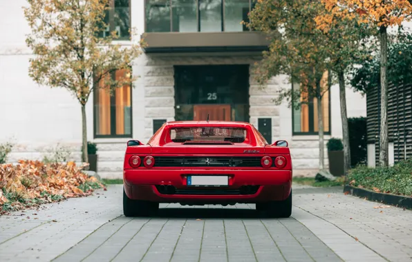 Картинка Ferrari, rear, 512, Ferrari 512 M